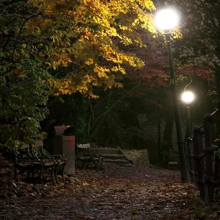 Delightful Rina Merano