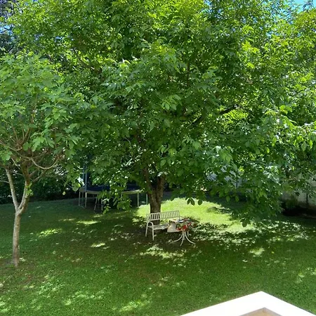 Lejlighed Delightful Rina Merano