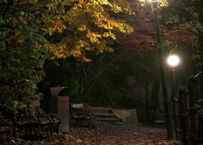 Delightful Rina 梅拉诺